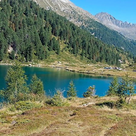 Appartement Eberharter Conny Zell am Ziller Eksteriør billede